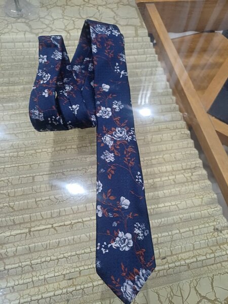 Cravates élégantes en soie