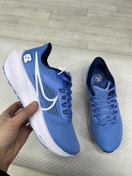 Nike pegasus39