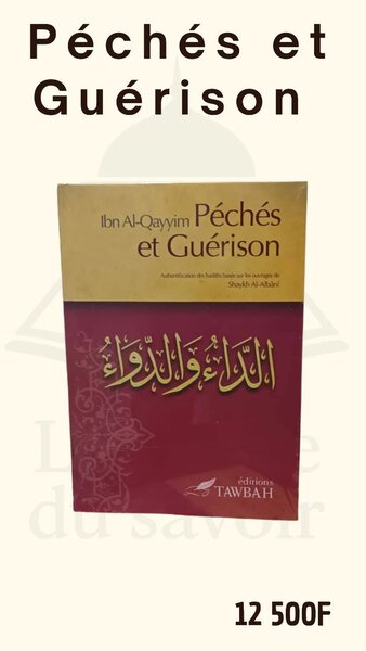 Livre 'Péchés et Guérison'