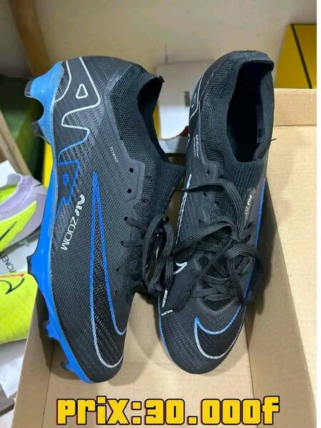 Paire de magre