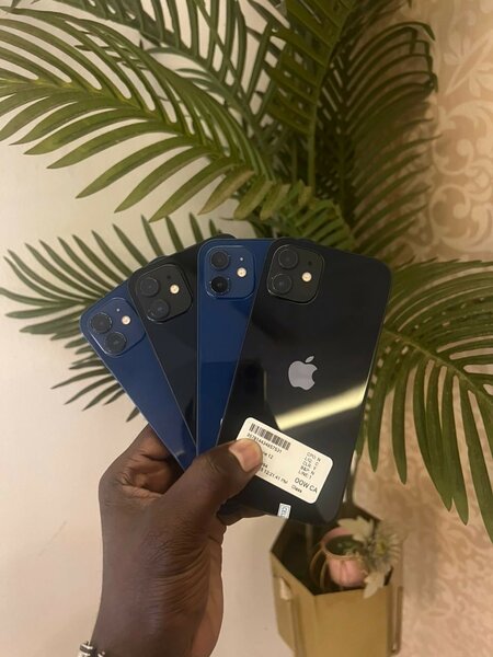 iPhone 12  - 64GB -