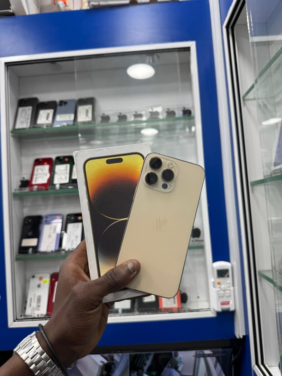 14 pro max 256giga 2 puces