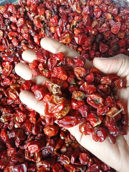 Piment en Poudre Épicé