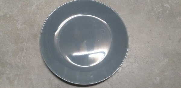 Dinner plate