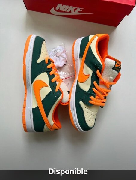 Nike Sneakers Colorées