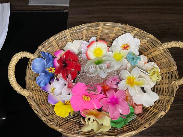 Pinces à cheveux fleur colorées