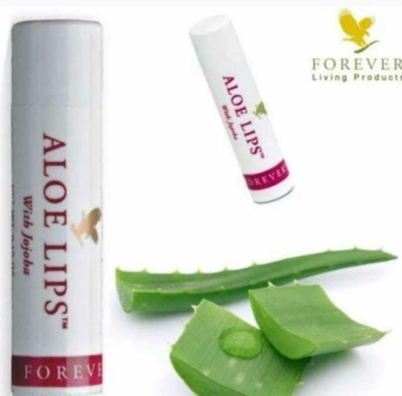 Baume à Lèvres Aloe Vera