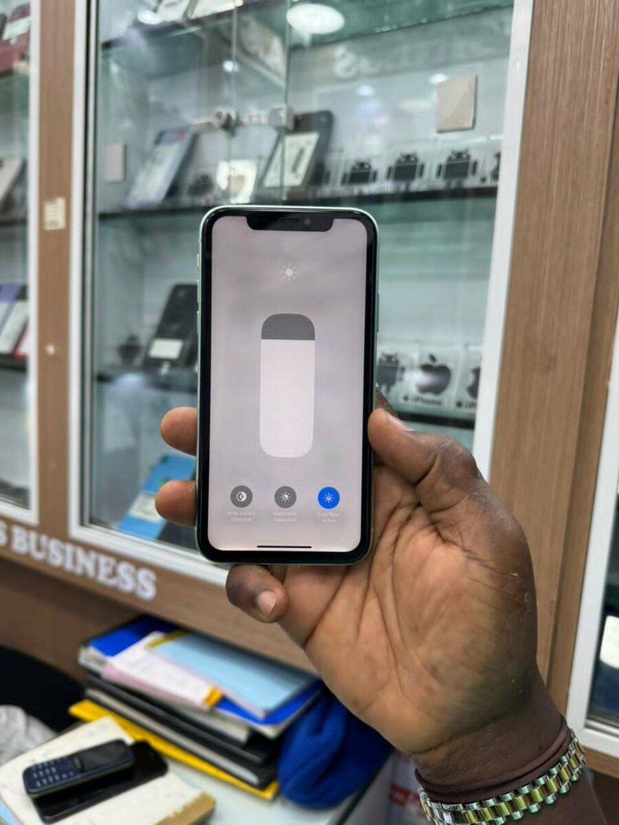 iPhone 11 Couleur Vert