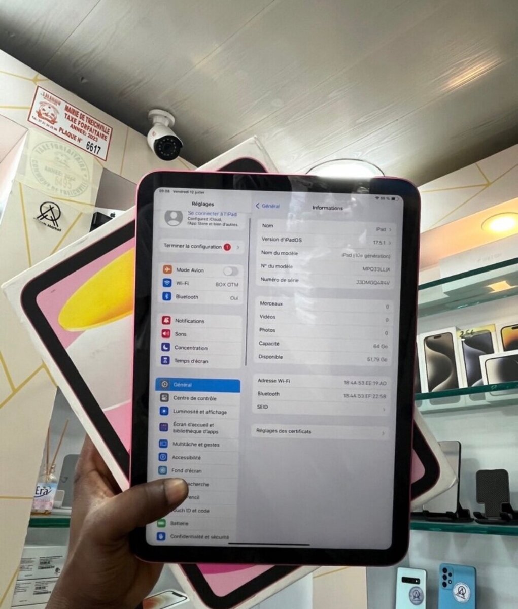 iPad Rose 10.9" WiFi