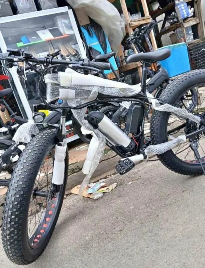 Vélo électrique tout-terrain robuste