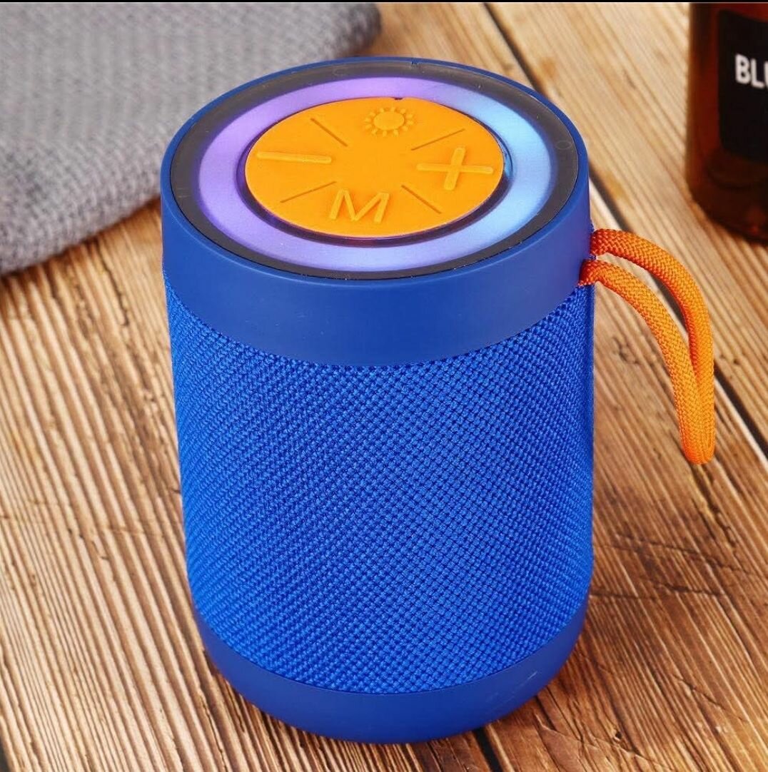 Enceinte Bluetooth Portable