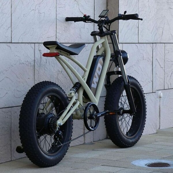 Vélo électrique tout-terrain puissant