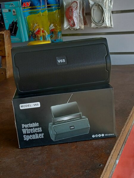 Portable wireless speaker