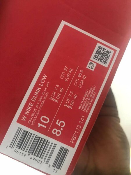 Nike Dunk Low Bleu Homme/Femme