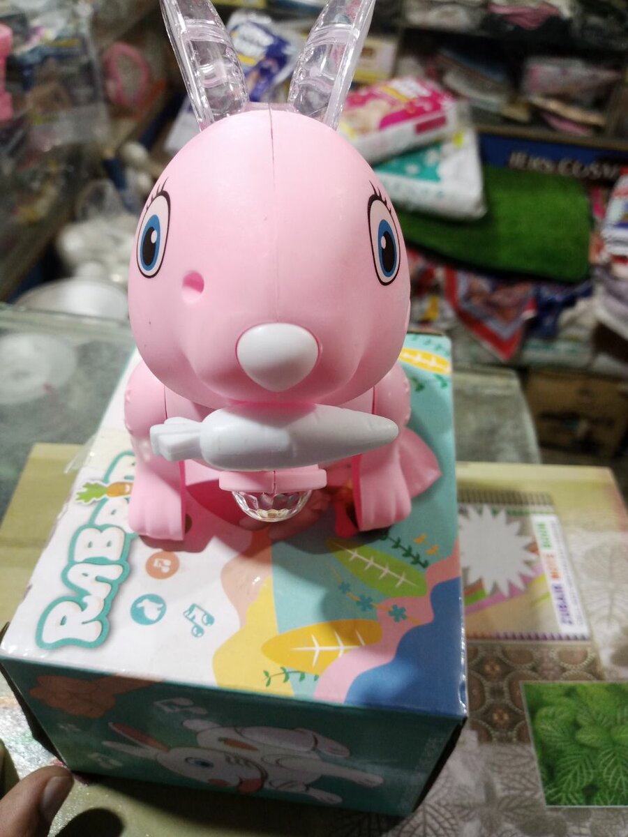 Rabbit