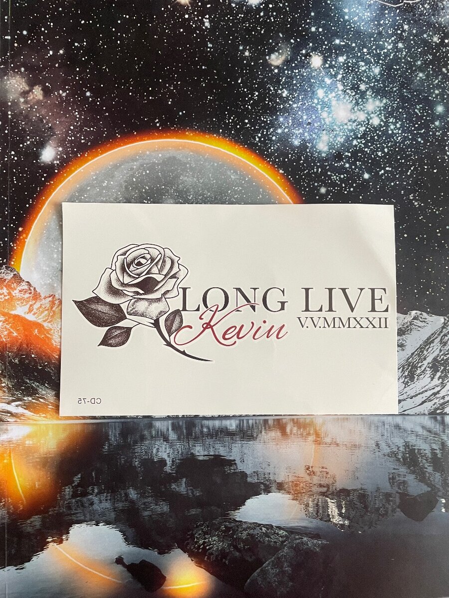 Tatouages Temporaires Artistiques