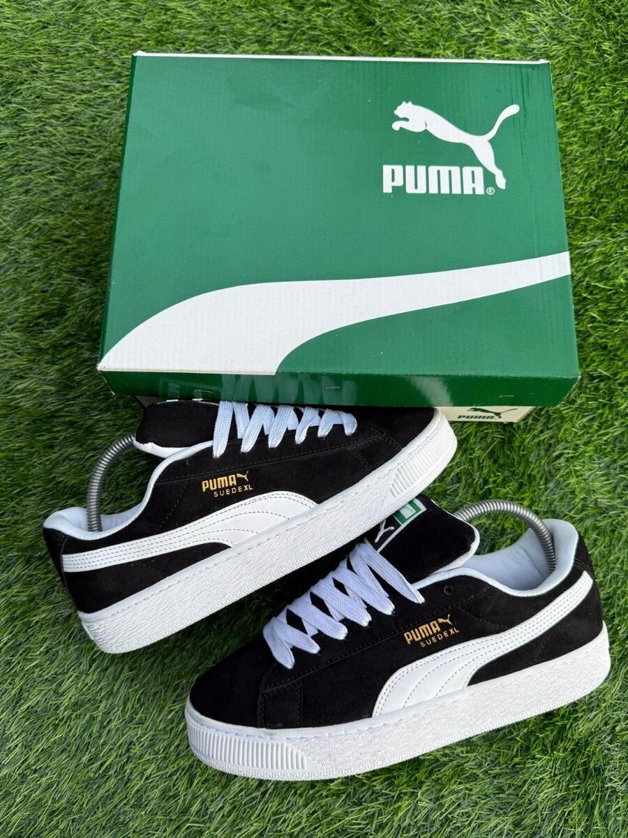 Puma suède