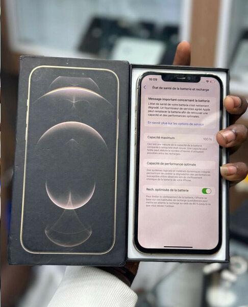 iPhone 12 Pro Max 256GB