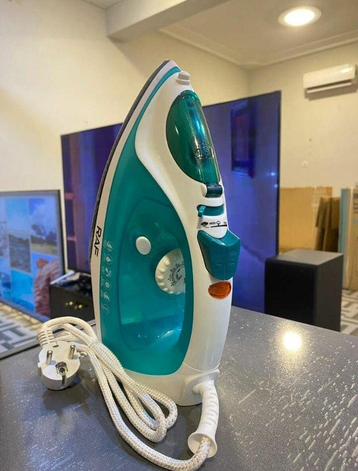 Electric steam iron