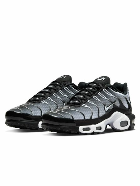Baskets Air Max TN Homme