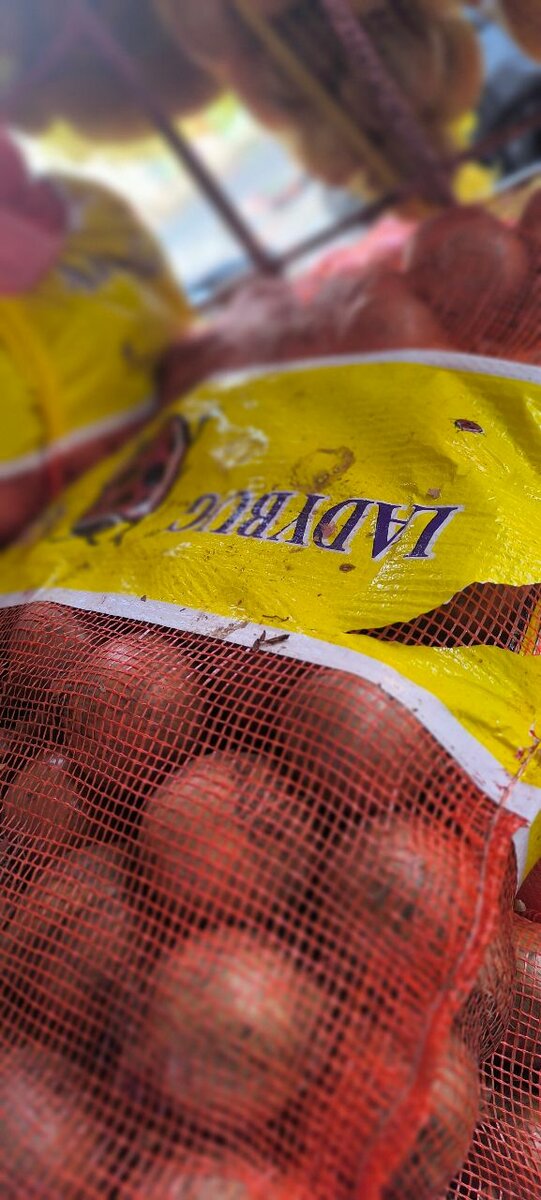 Oignons blanc  Frais en Sac