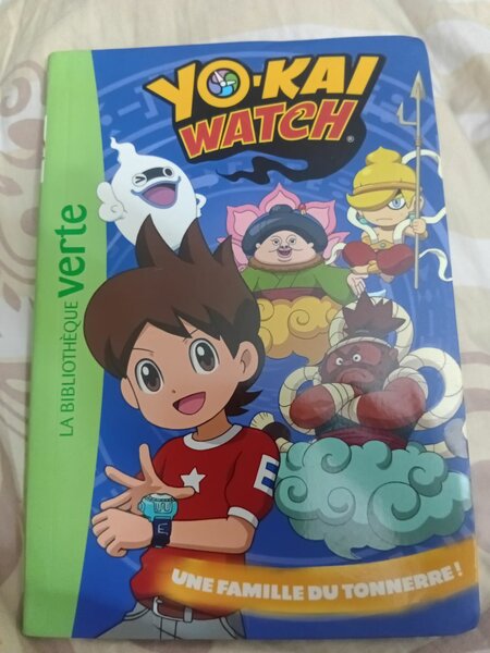 Yo-Kai Watch: Une Famille du Tonnerre