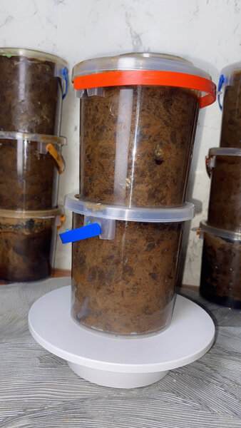 SAVON NOIR DE NIGERIA