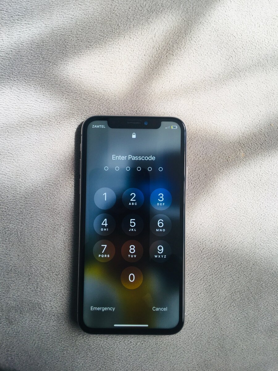 iPhone X