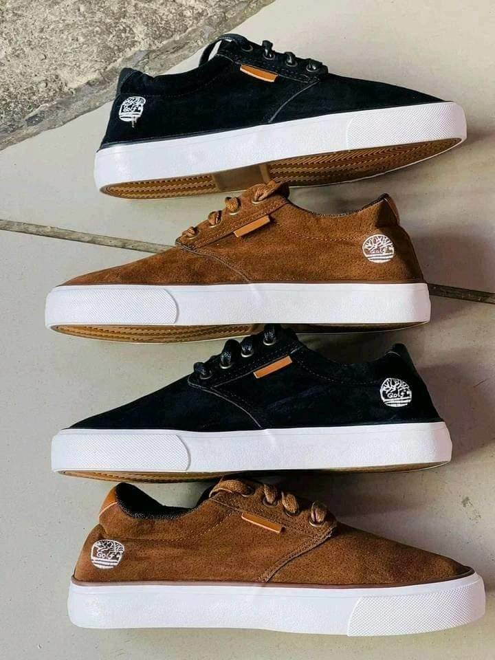 Timberland vans