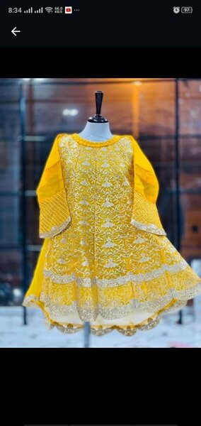Ladies fancy suit