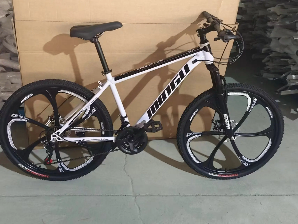 Vélo de montagne robuste