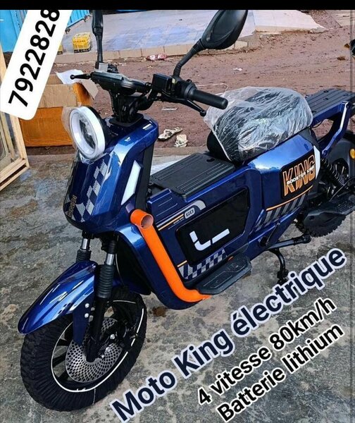 Moto électrique King 80km/h
