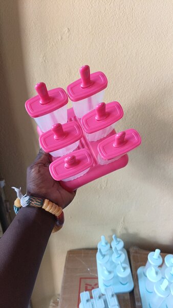 Moules à Glace Maison Rose