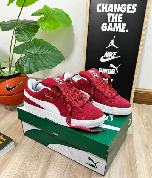 Baskets tendance unisexes