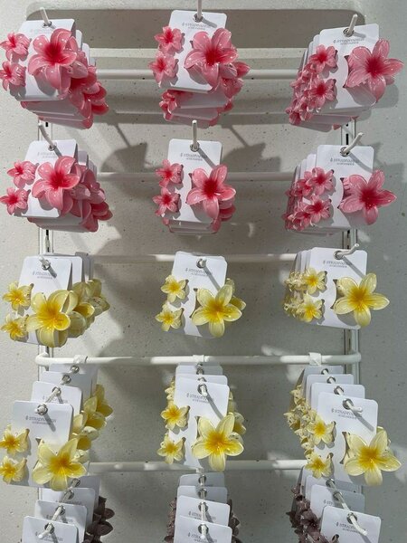 Épingles à cheveux fleurs tropicales