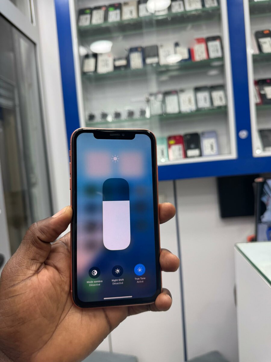 Xr Casi neuf juste dos fissuré