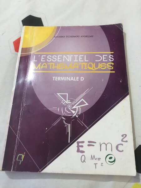 L'Essentiel des Mathématiques