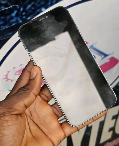 Samsung Galaxy S10+