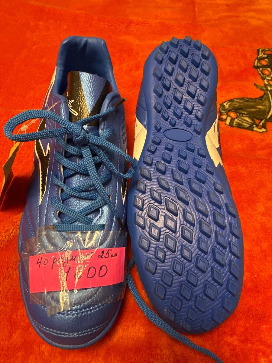 Сороконожки