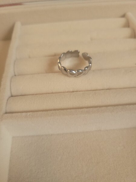 Bague en acier inoxydable