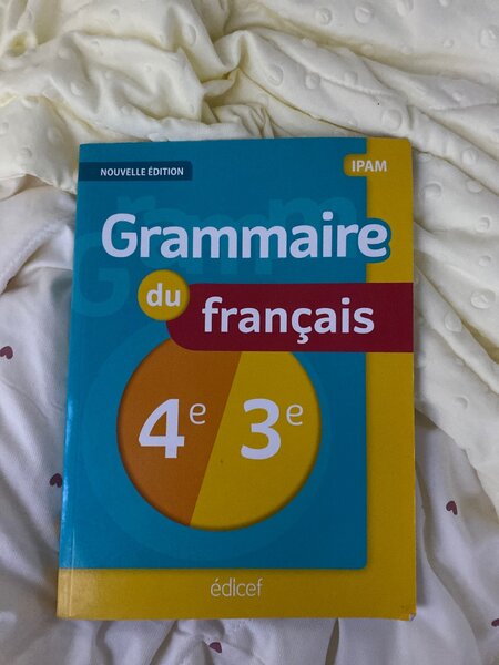 French Grammar Book 4e 3e