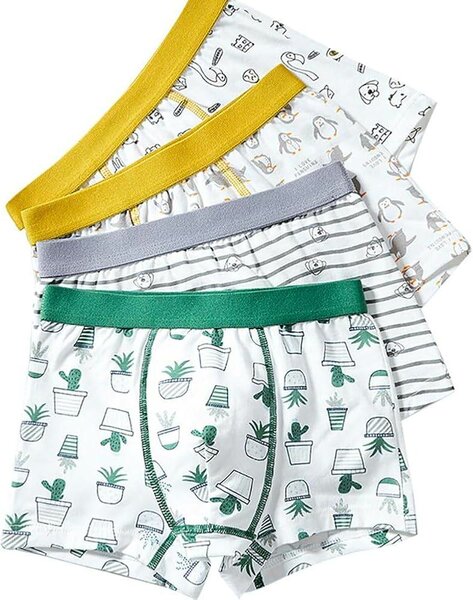 6 Boxers garçon animés