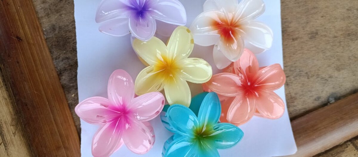 Barrettes fleurs cheveux