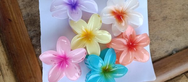 Barrettes fleurs cheveux