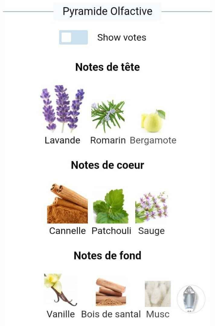 Parfum Mauboussin Homme 100ml