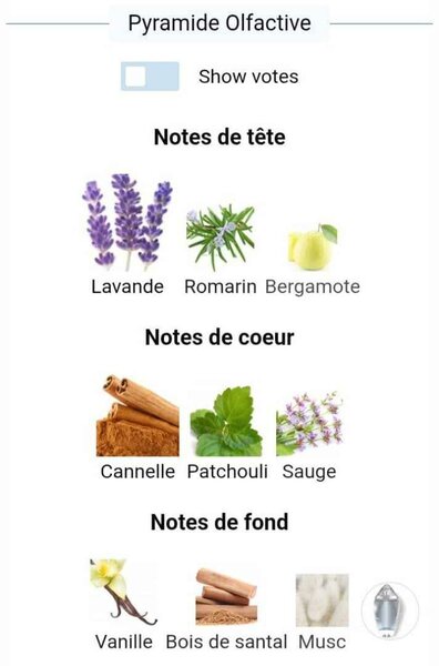 Parfum Mauboussin Homme 100ml