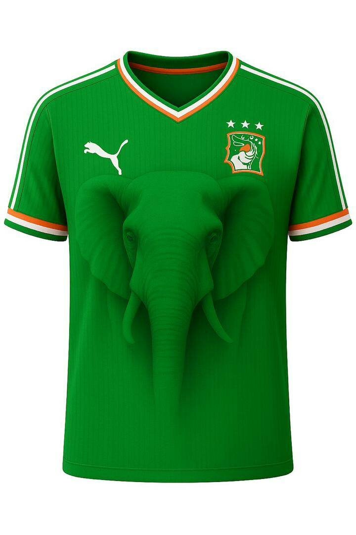 Maillot Côte d'Ivoire Éléphant