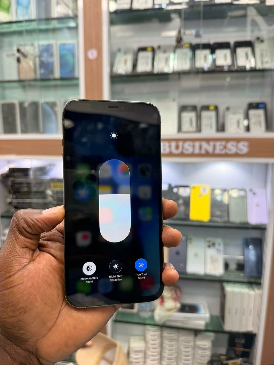 iPhone 12 Pro Max 128Go  Tout