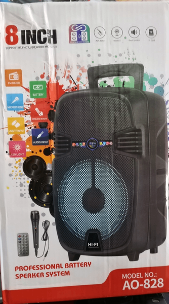 Enceinte portable 8 pouces