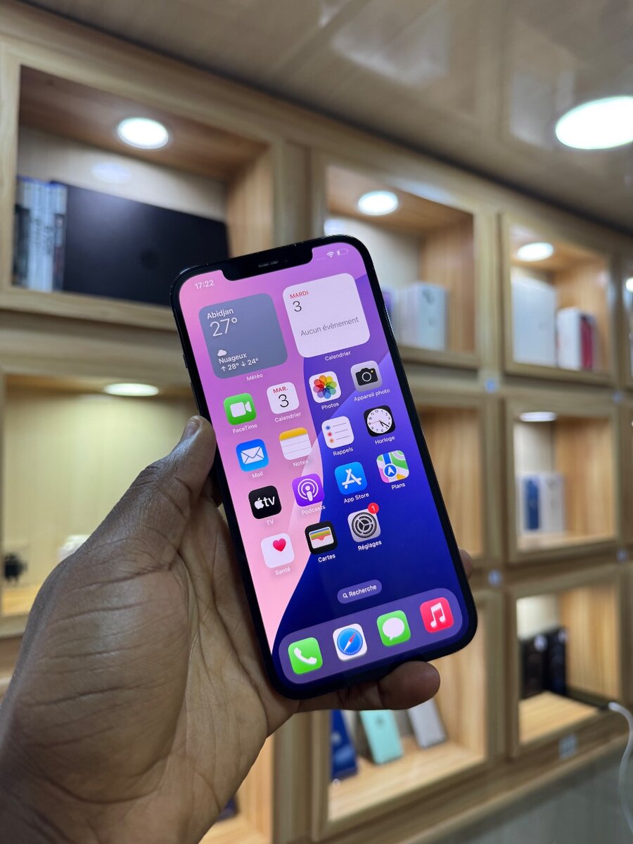 12 Pro Max Seconde Main Propre